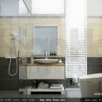 Mẫu phòng WC hiện đại cho nhà ống