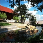 Mẫu thiết kế sân vườn biệt thự