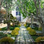 Mẫu thiết kế sân vườn đẹp