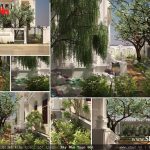 Thiết kế tiểu cảnh sân vườn đẹp