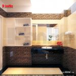 WC kiểu hiện đại