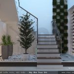Tiểu cảnh cầu thang
