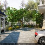 Trồng cây xanh ngoài sân trước