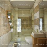 Phòng tắm và wc sh nod 0113