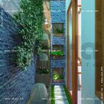 Sân sau sh nop 0079