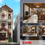 Phối cảnh kiến trúc nhà ống Pháp sh nop 0111