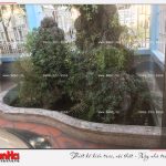 4 Ảnh thực tế thi công tiểu cảnh sân vườn biệt thự khu đô thị vinhomes hải phòng