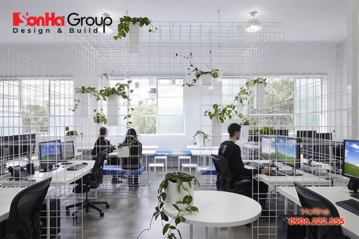 Dù là diện tích văn phòng lớn hay nhỏ, hãy thông thái chọn những cây xanh phong thủy phù hợp với văn phòng 