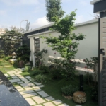 Thiết kế biệt thự hiện đại Hải Phòng