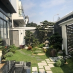 Thiết kế biệt thự 3 tầng