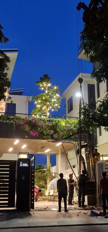 Mẫu biệt thự hiện đại 3 tầng tại Waterfront City Hải Phòng 21