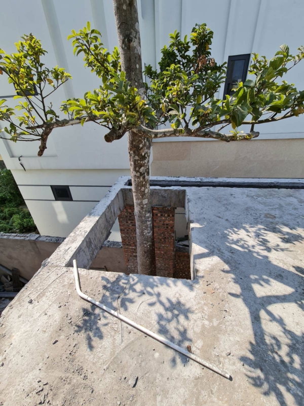 Mẫu biệt thự hiện đại 3 tầng tại Waterfront City Hải Phòng 19