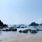 Thiết kế công viên du lịch Hòn Rồng tại Vân Đồn Quảng Ninh - SH KS 0100 18