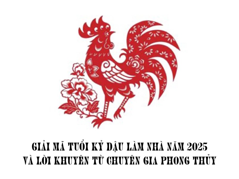 Giải mã tuổi kỷ dậu làm nhà năm 2025 và lời khuyên từ chuyên gia phong thủy