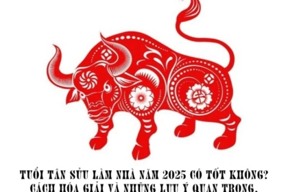 Tuổi Tân Sửu làm nhà năm 2025 có tốt không và cách hóa giải