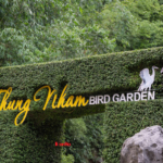 Team Building 2025 – Tái khởi nghiệp, chuyển mình bứt phá! 129