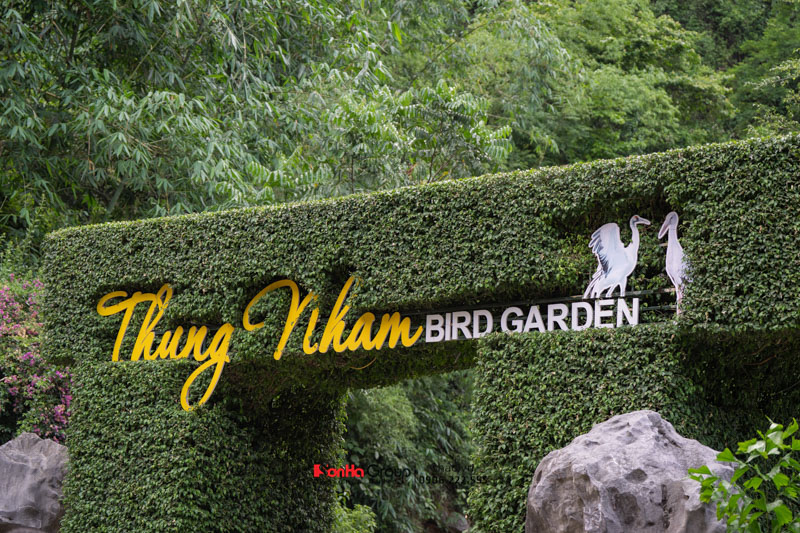 Team Building 2025 – Tái khởi nghiệp, chuyển mình bứt phá! 13