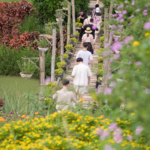 Team Building 2025 – Tái khởi nghiệp, chuyển mình bứt phá! 134