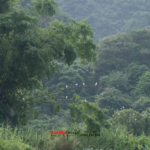 Team Building 2025 – Tái khởi nghiệp, chuyển mình bứt phá! 135