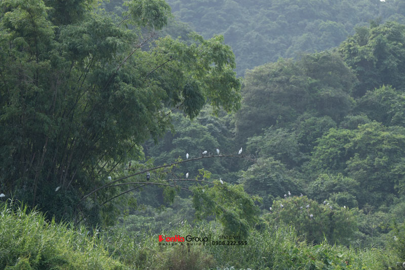 Team Building 2025 – Tái khởi nghiệp, chuyển mình bứt phá! 19