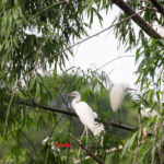 Team Building 2025 – Tái khởi nghiệp, chuyển mình bứt phá! 136