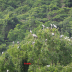 Team Building 2025 – Tái khởi nghiệp, chuyển mình bứt phá! 137