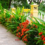 Team Building 2025 – Tái khởi nghiệp, chuyển mình bứt phá! 149