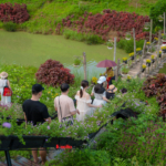 Team Building 2025 – Tái khởi nghiệp, chuyển mình bứt phá! 174