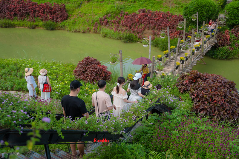 Team Building 2025 – Tái khởi nghiệp, chuyển mình bứt phá! 58