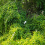 Team Building 2025 – Tái khởi nghiệp, chuyển mình bứt phá! 175