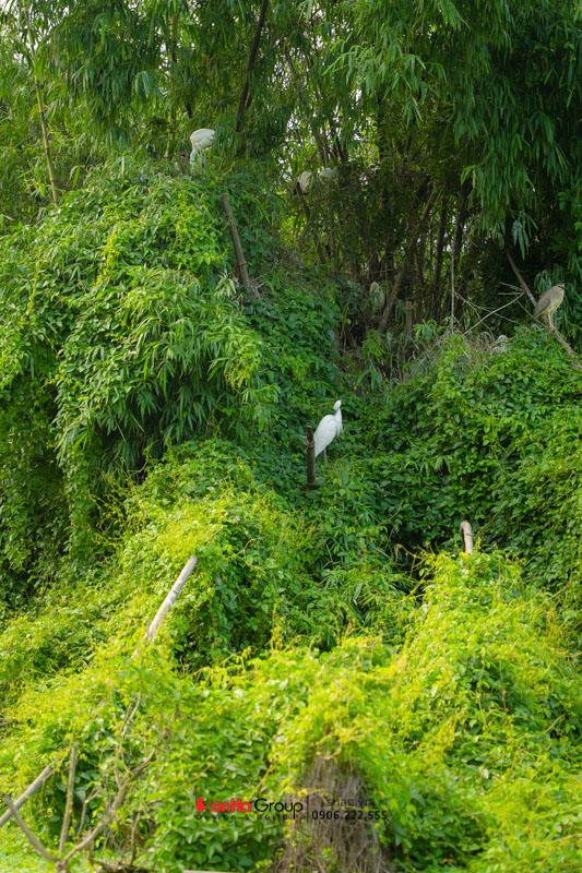 Team Building 2025 – Tái khởi nghiệp, chuyển mình bứt phá! 59