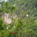 Team Building 2025 – Tái khởi nghiệp, chuyển mình bứt phá! 176