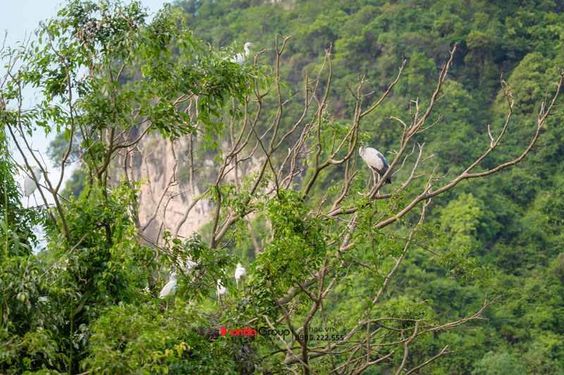 Team Building 2025 – Tái khởi nghiệp, chuyển mình bứt phá! 60