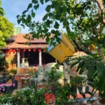 Thiết kế biệt thự hình chữ U phong cách Indochine - Khi kiến trúc ôm trọn cội nguồn gia tộc 28