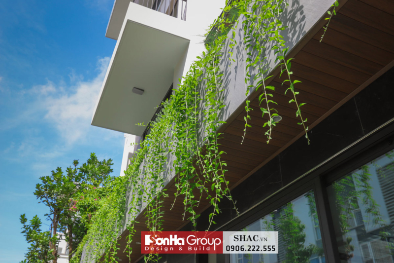 Thiết kế Ccây xanh làm lớp cách nhiệt tự nhiên giúp chắn nắng hướng Tây cho biệt thự tại Hải Phòng