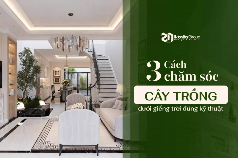 3 Cách chăm sóc cây trồng dưới giếng trời đúng kỹ thuật 7 3 Cách chăm sóc cây trồng dưới giếng trời đúng kỹ thuật